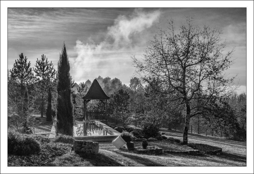 Le Lion D'Or En Perigord Bed & Breakfast Mauzac-et-Grand-Castang Eksteriør bilde