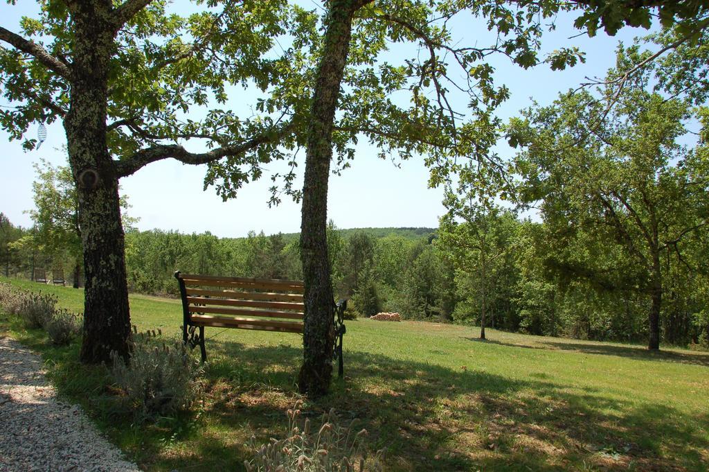 Le Lion D'Or En Perigord Bed & Breakfast Mauzac-et-Grand-Castang Eksteriør bilde